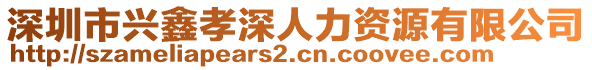 深圳市興鑫孝深人力資源有限公司