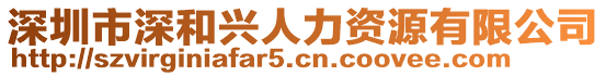 深圳市深和興人力資源有限公司