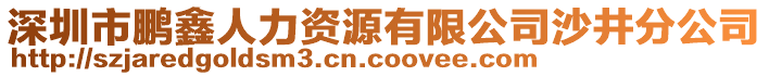 深圳市鵬鑫人力資源有限公司沙井分公司