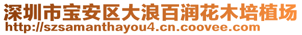 深圳市寶安區(qū)大浪百潤花木培植場