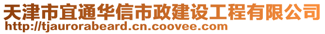 天津市宜通華信市政建設工程有限公司