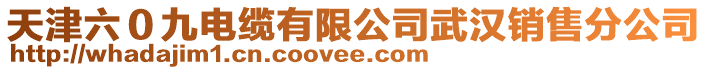 天津六０九電纜有限公司武漢銷售分公司