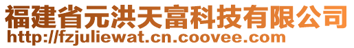 福建省元洪天富科技有限公司