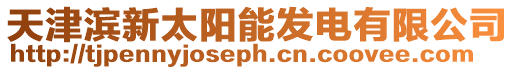 天津?yàn)I新太陽(yáng)能發(fā)電有限公司