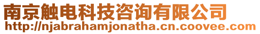 南京觸電科技咨詢有限公司