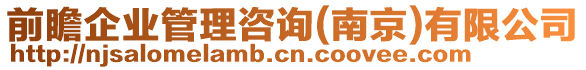 前瞻企業管理咨詢(南京)有限公司