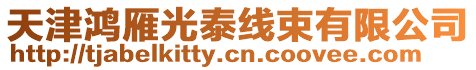 天津鴻雁光泰線束有限公司