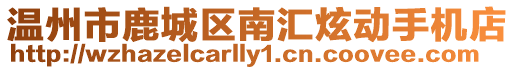 溫州市鹿城區南匯炫動手機店