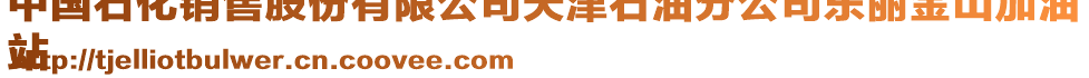 中國石化銷售股份有限公司天津石油分公司東麗金山加油
站