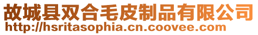故城縣雙合毛皮制品有限公司