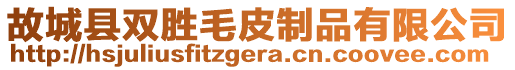 故城縣雙勝毛皮制品有限公司