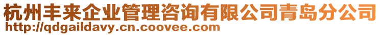 杭州豐來企業(yè)管理咨詢有限公司青島分公司