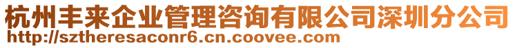 杭州豐來企業管理咨詢有限公司深圳分公司