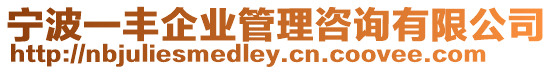 寧波一豐企業管理咨詢有限公司