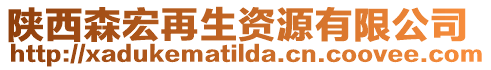 陜西森宏再生資源有限公司