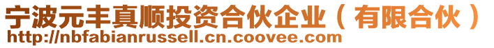 寧波元豐真順投資合伙企業(yè)（有限合伙）