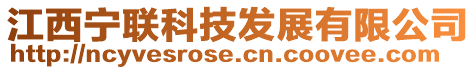 江西寧聯科技發展有限公司