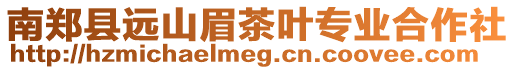 南鄭縣遠山眉茶葉專業合作社