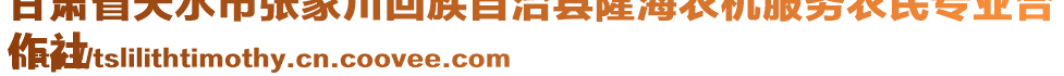 甘肅省天水市張家川回族自治縣隆海農(nóng)機(jī)服務(wù)農(nóng)民專業(yè)合
作社