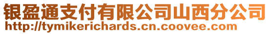 銀盈通支付有限公司山西分公司