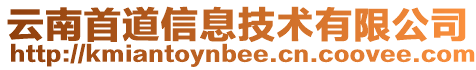 云南首道信息技術有限公司