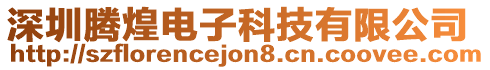 深圳騰煌電子科技有限公司