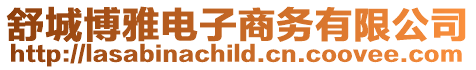 舒城博雅電子商務(wù)有限公司