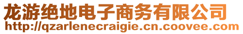 龍游絕地電子商務有限公司