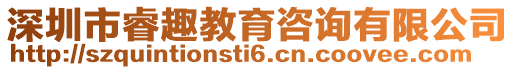 深圳市睿趣教育咨詢有限公司