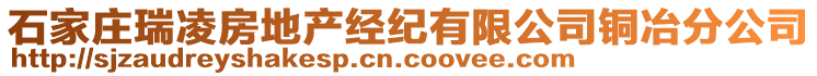 石家莊瑞凌房地產(chǎn)經(jīng)紀有限公司銅冶分公司