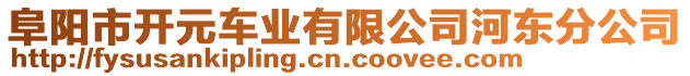 阜陽(yáng)市開元車業(yè)有限公司河?xùn)|分公司