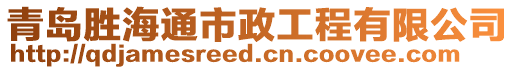 青島勝海通市政工程有限公司