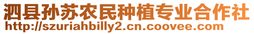 泗縣孫蘇農(nóng)民種植專業(yè)合作社