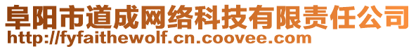 阜陽市道成網(wǎng)絡(luò)科技有限責任公司