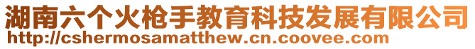湖南六個火槍手教育科技發展有限公司