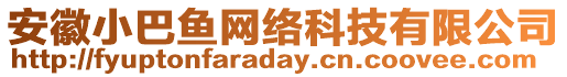 安徽小巴魚網絡科技有限公司