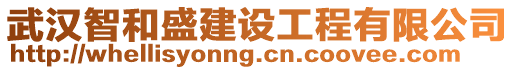 武漢智和盛建設(shè)工程有限公司