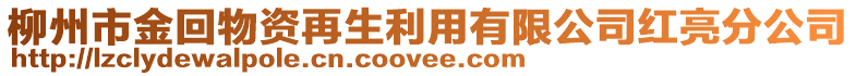 柳州市金回物資再生利用有限公司紅亮分公司