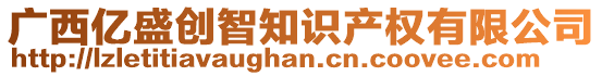 廣西億盛創(chuàng)智知識(shí)產(chǎn)權(quán)有限公司