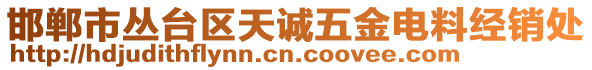 邯鄲市叢臺區(qū)天誠五金電料經(jīng)銷處