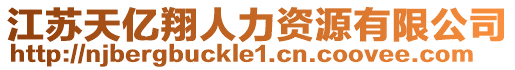江蘇天億翔人力資源有限公司
