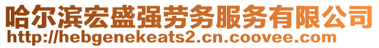 哈爾濱宏盛強(qiáng)勞務(wù)服務(wù)有限公司