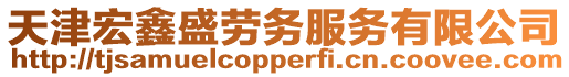 天津宏鑫盛勞務服務有限公司
