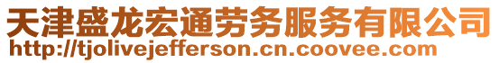 天津盛龍宏通勞務服務有限公司