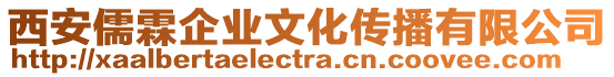 西安儒霖企業(yè)文化傳播有限公司