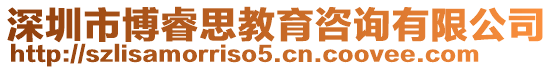 深圳市博睿思教育咨询有限公司