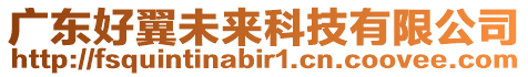 廣東好翼未來科技有限公司