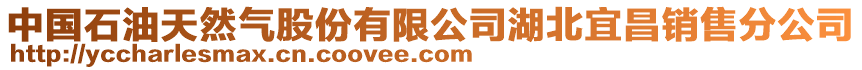 中國石油天然氣股份有限公司湖北宜昌銷售分公司