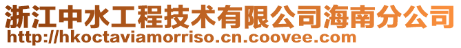 浙江中水工程技術有限公司海南分公司