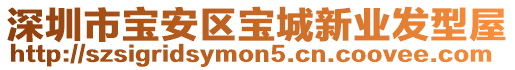 深圳市寶安區(qū)寶城新業(yè)發(fā)型屋